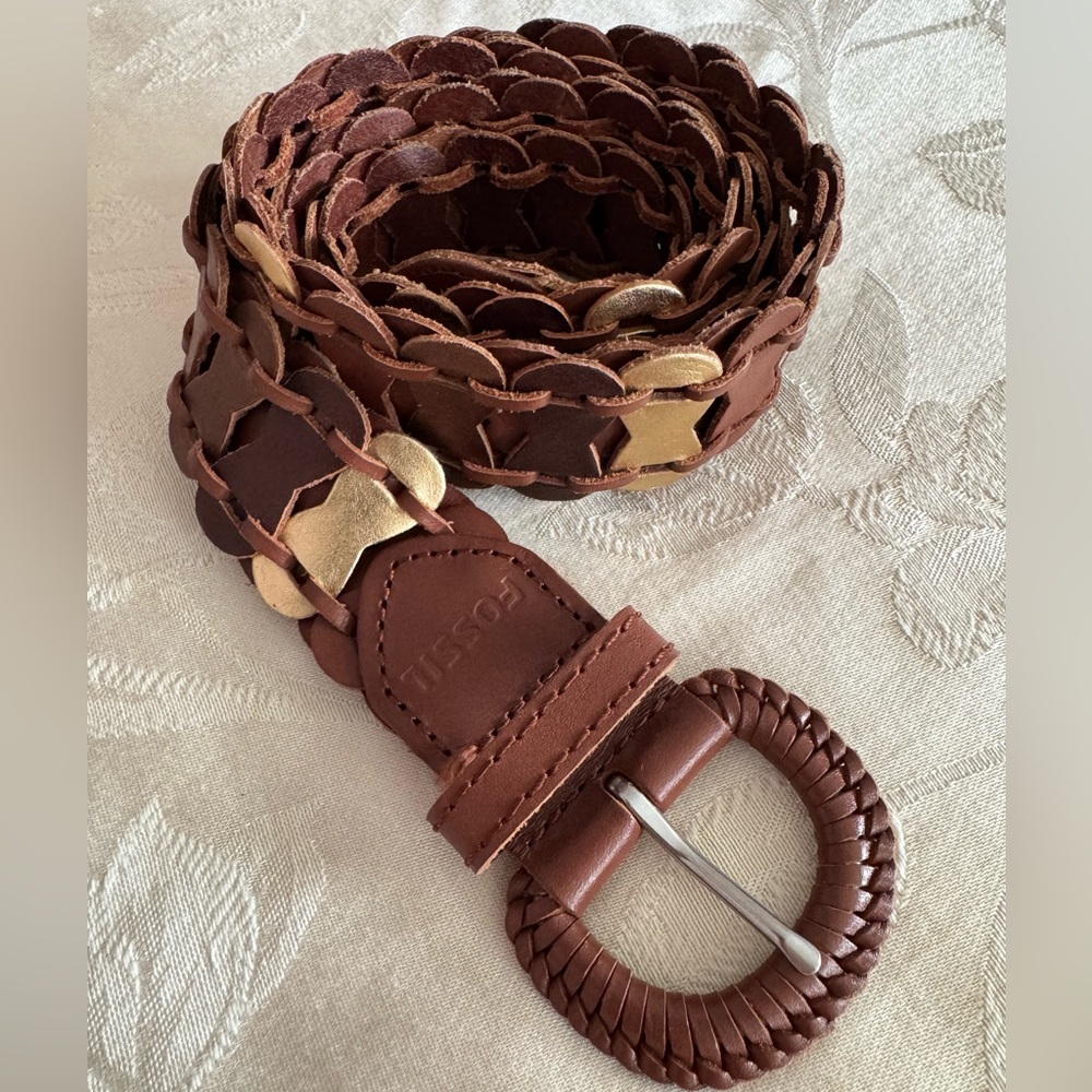 Fossil Linked Woven Metallic Belt
